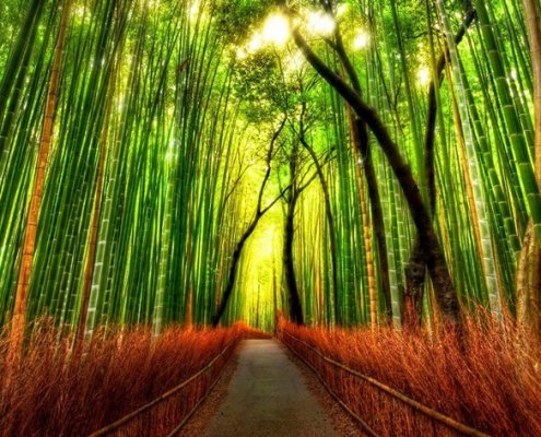 Energetinė Reiki terapija - Gydanti Reiki energija - Reiki masažas - Gydomieji Reiki seansai - Kas yra Reiki gydymo metodas - Reiki gydymas energija - Reiki seansas - Alternatyvus gydymas Reiki universali visatos energija