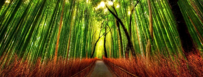 Energetinė Reiki terapija - Gydanti Reiki energija - Reiki masažas - Gydomieji Reiki seansai - Kas yra Reiki gydymo metodas - Reiki gydymas energija - Reiki seansas - Alternatyvus gydymas Reiki universali visatos energija