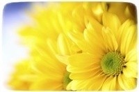 Aromaterapija - tai fizinių bei dvasinių problemų gydymas ir profilaktika, naudojant natūralius augalinės kilmės gamtos aromatus.