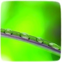 Kaip veikia Reiki energija gydomojo seanso metu?