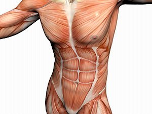 raumenu disbalansas operacijos randai skausmai priezastys