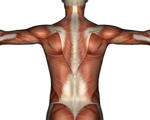 Kineziterapija esant nugaros skausmui, apatines dalies skausmui